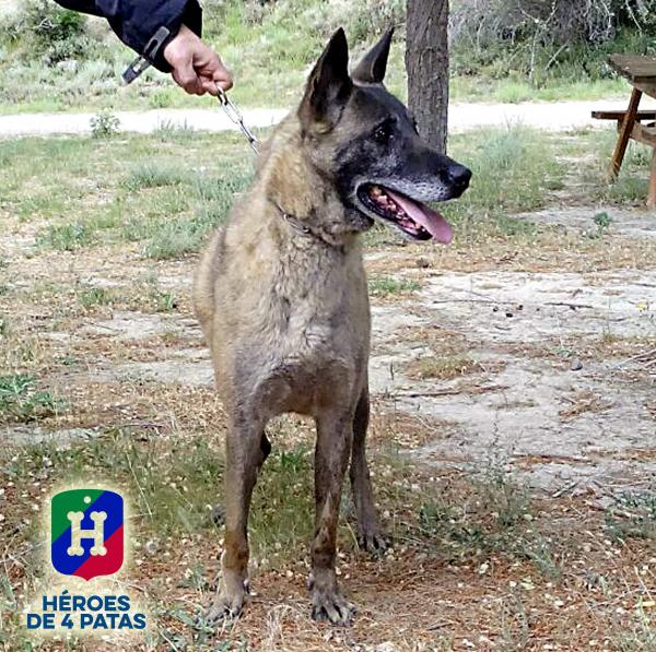 Enma. Busca una familia que le adopte