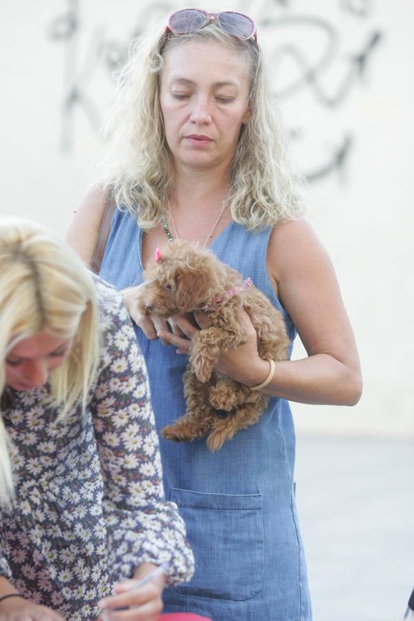 Los mil ladridos de la Feria más canina