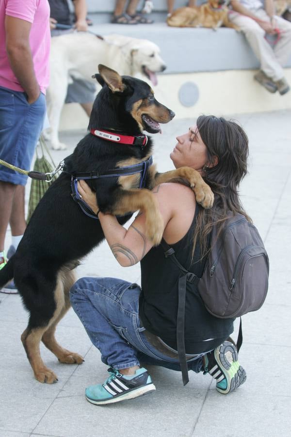 Los mil ladridos de la Feria más canina