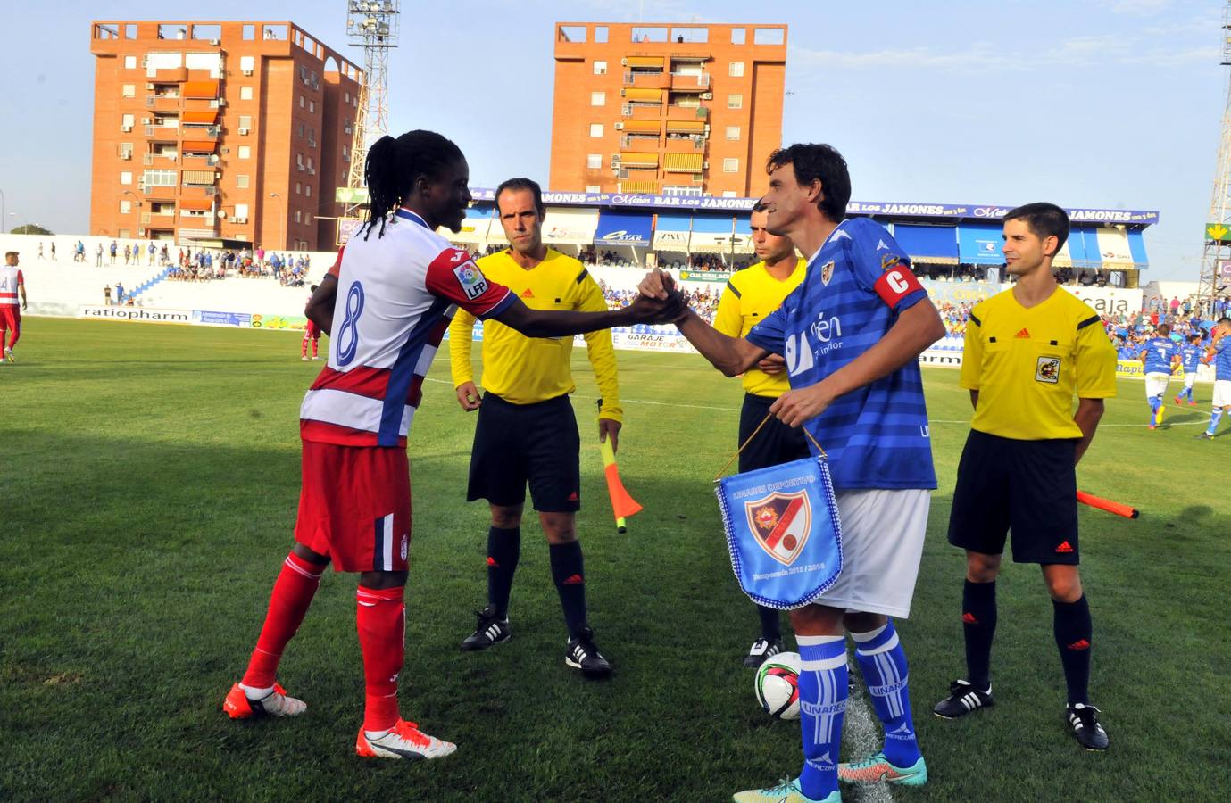 La fiesta, fuera de Linarejos