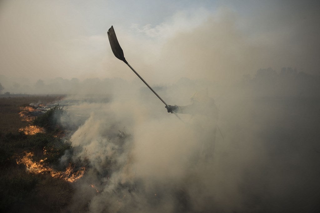 Bomberos intentan extinguir las llamas en el lugar de un incendio forestal en Gund'n, en Cualedro, cerca de Ourense.