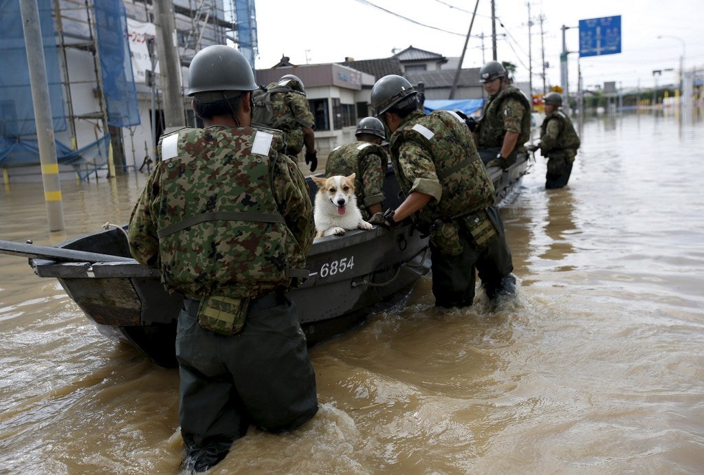 Un perro está siendo rescatado por 1er Regimiento de infantería de Autodefensa de la Fuerza de Japón en barco en una zona residencial inundada por el río Kinugawa, a causa del tifón Etau, en Joso.