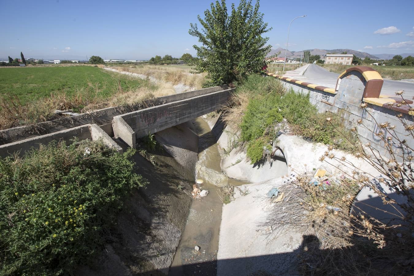 Maracena. Enlace de varios arroyos a las afueras del pueblo. Acumula maleza y basura inorgánica.