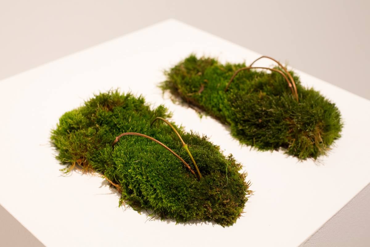 Obras de arte contemporáneo de 28 alumnos de Bellas Artes