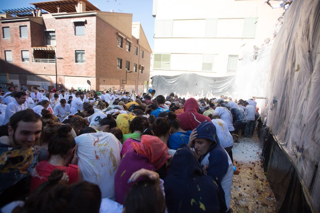 Un San Lucas multitudinario (II)