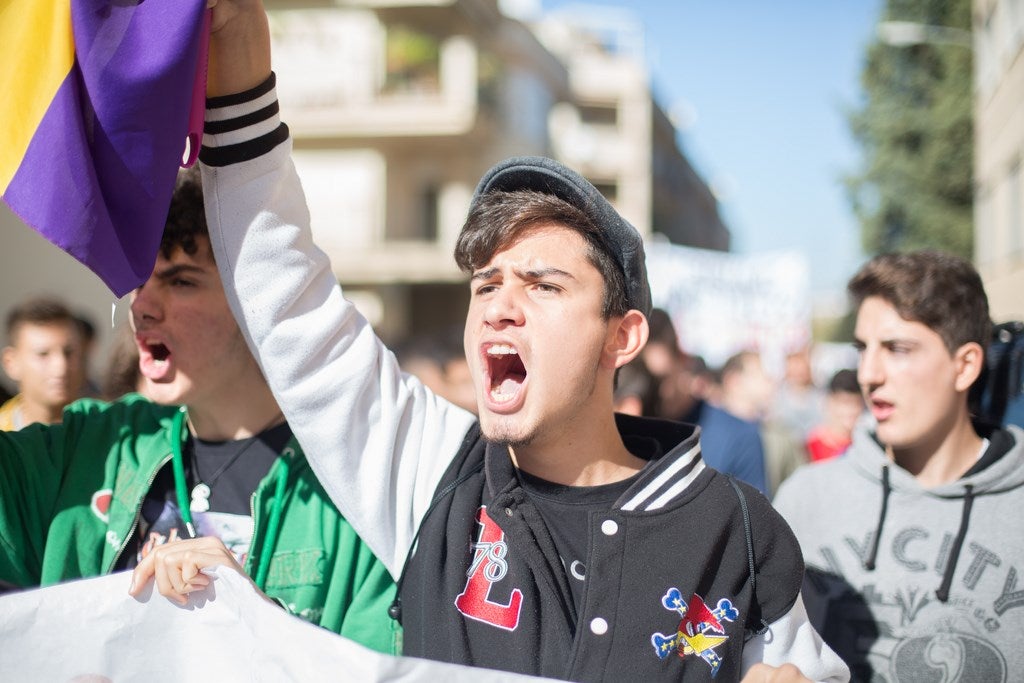 Un millar de estudiantes protestan en el centro de Granada contra la Lomce