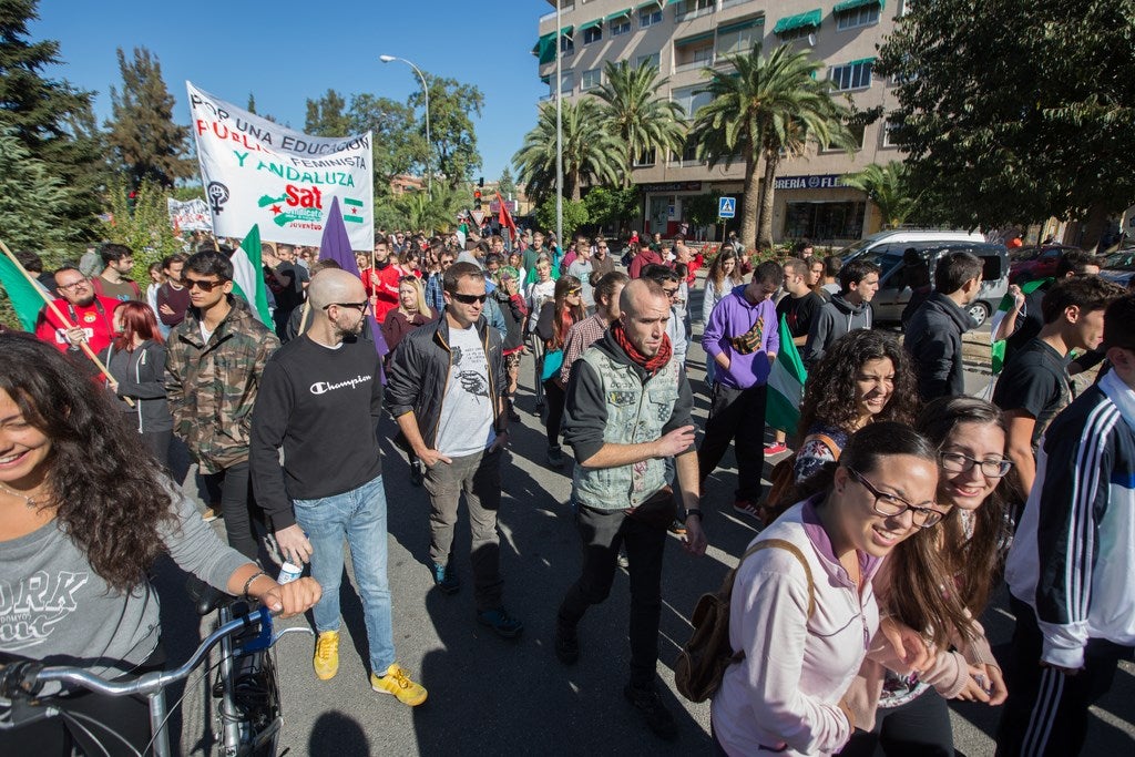 Un millar de estudiantes protestan en el centro de Granada contra la Lomce