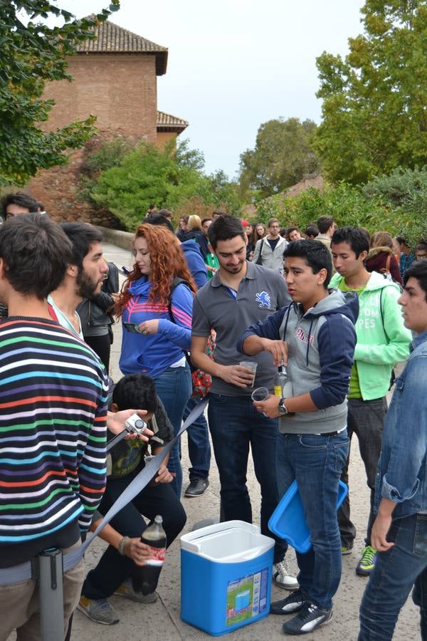 Los erasmus toman Granada