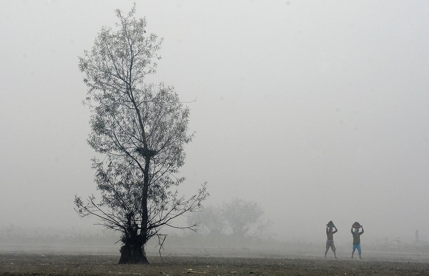 Mujeres de Cachemira recogen las castañas de agua de las aguas pantanosas del Lago Wular a Bandipora, a unos 65 km al norte de Srinagar.