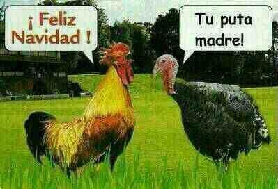 Las mejores 10 felicitaciones de WhatsApp para Navidad y Nochevieja