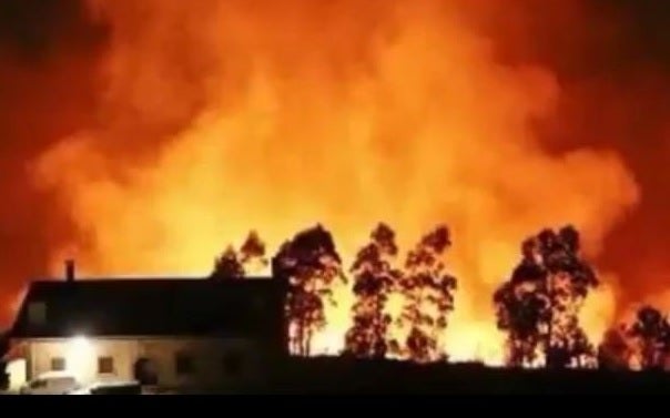 &quot;Anoche se nos quemó esto&quot;: los terribles efectos de los incendios en Asturias