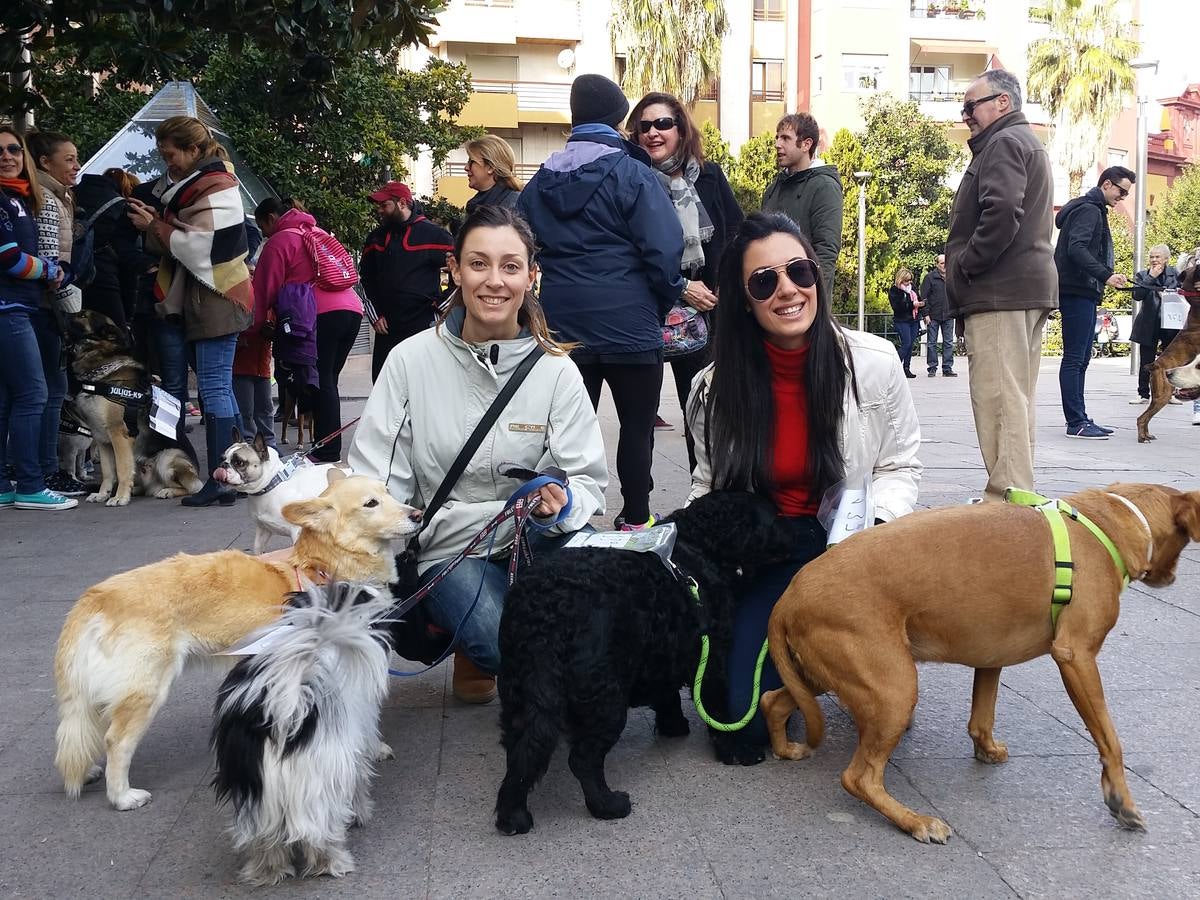 Más de 550 perros participan en la I Marcha Perrestre en defensa de la adopción