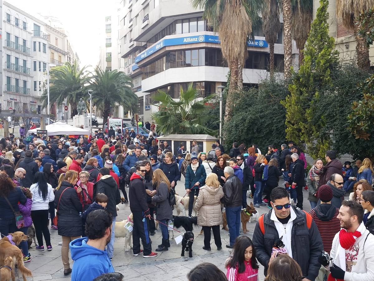 Más de 550 perros participan en la I Marcha Perrestre en defensa de la adopción