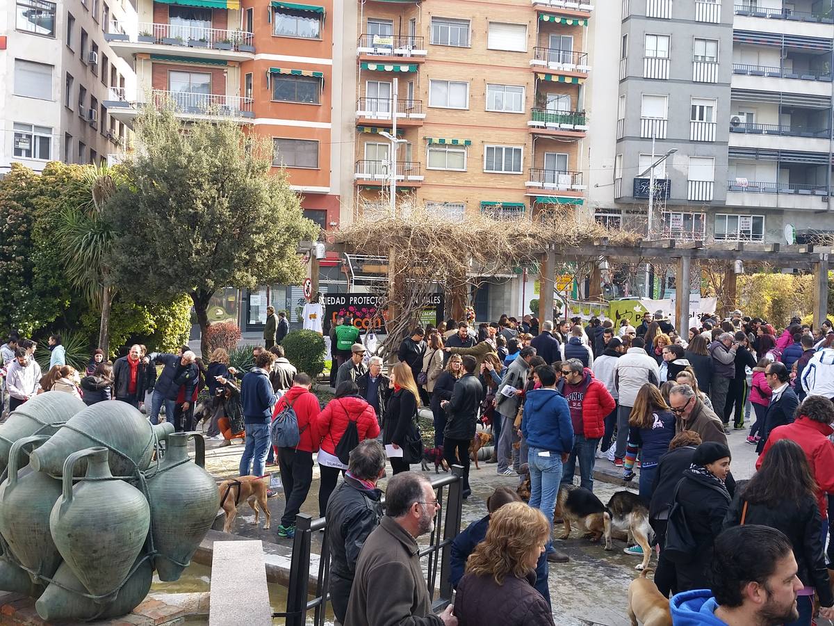 Más de 550 perros participan en la I Marcha Perrestre en defensa de la adopción