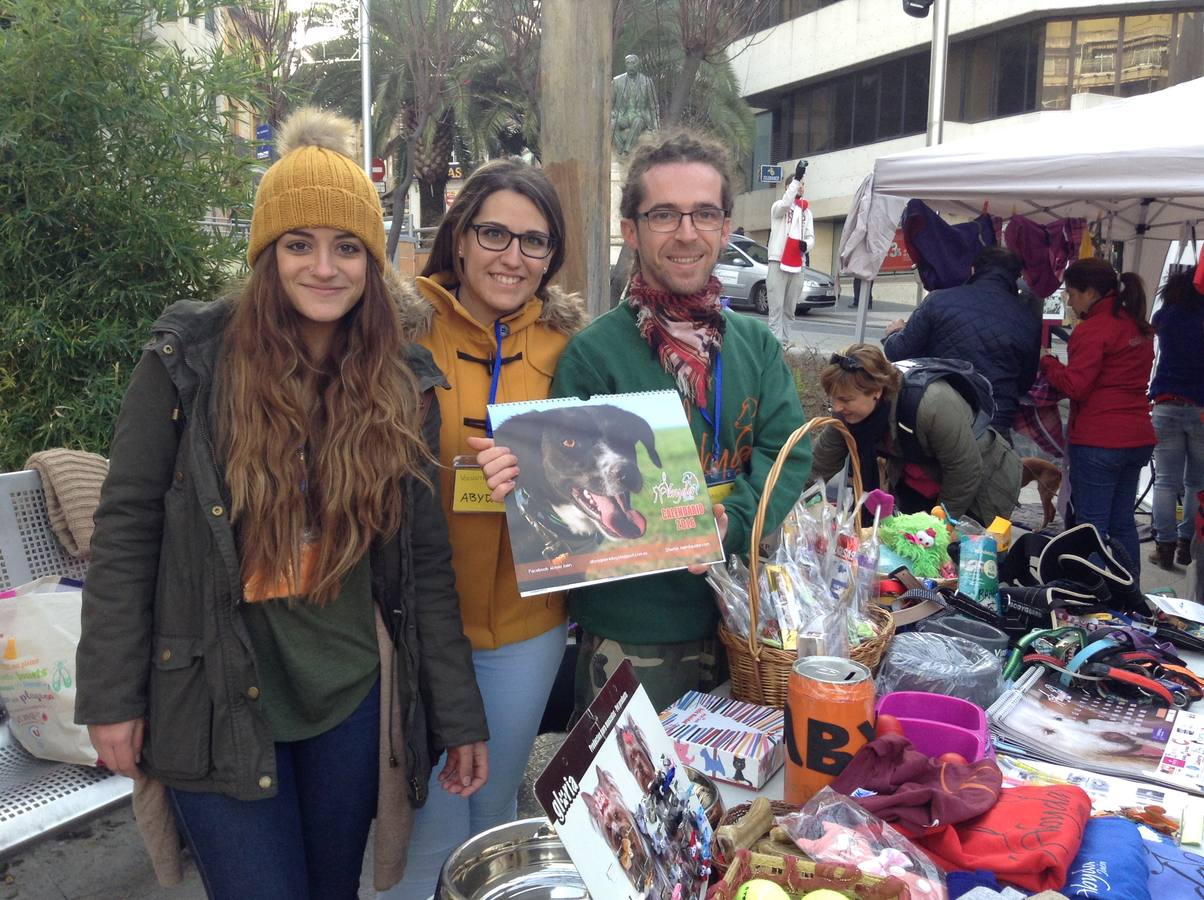 Más de 550 perros participan en la I Marcha Perrestre en defensa de la adopción