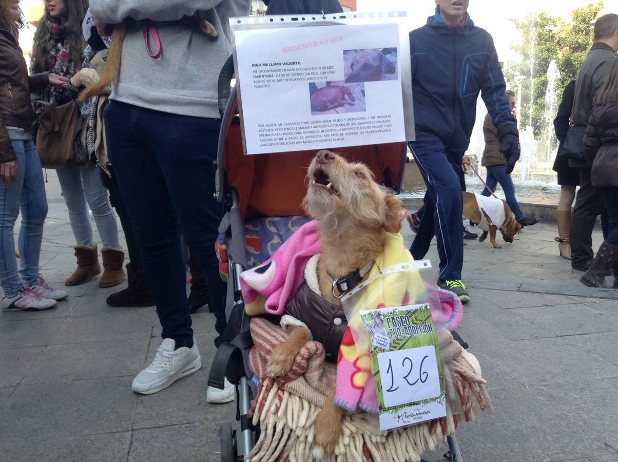 Más de 550 perros participan en la I Marcha Perrestre en defensa de la adopción