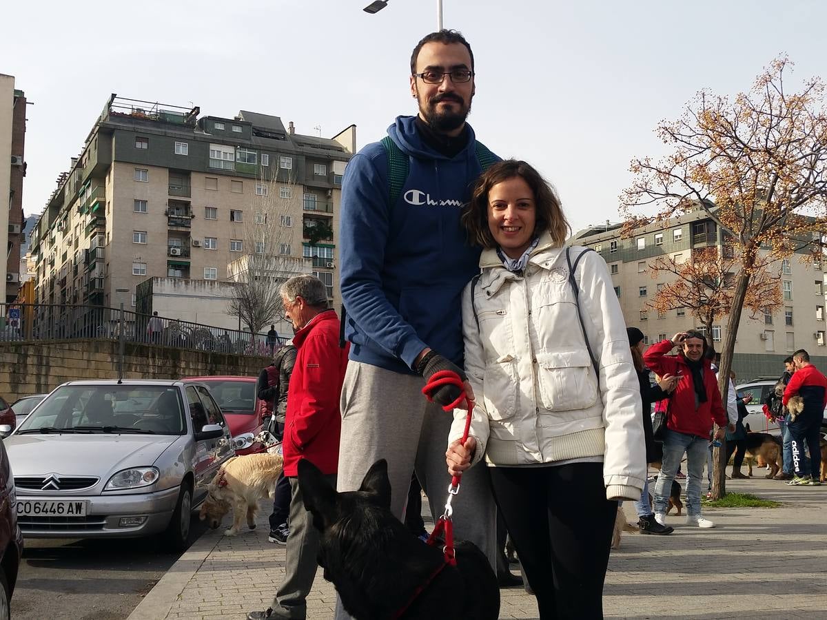 Más de 550 perros participan en la I Marcha Perrestre en defensa de la adopción