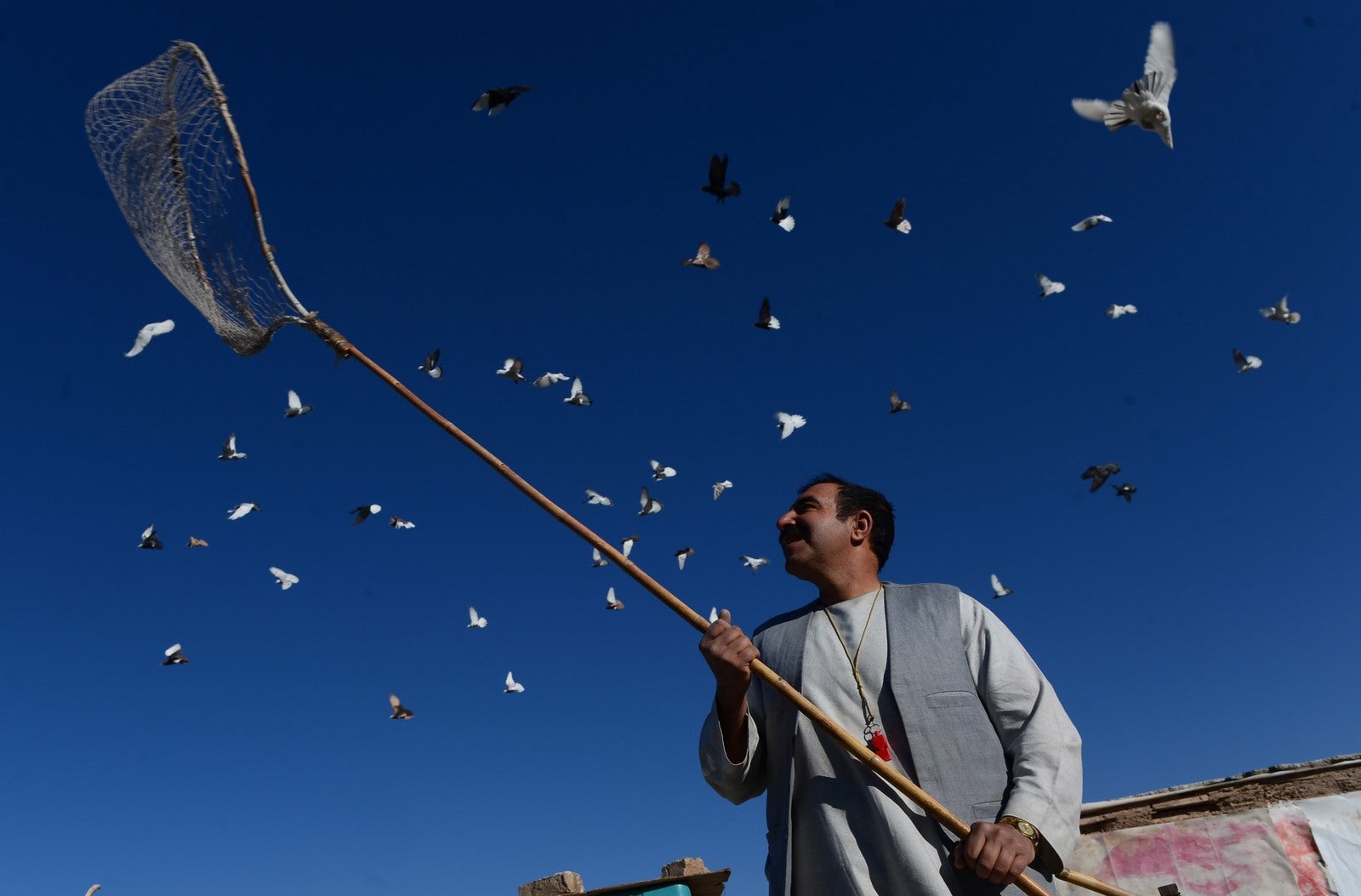 Nasir, de 45 años, con sus palomas que vuelan desde el tejado de su casa en Herat.