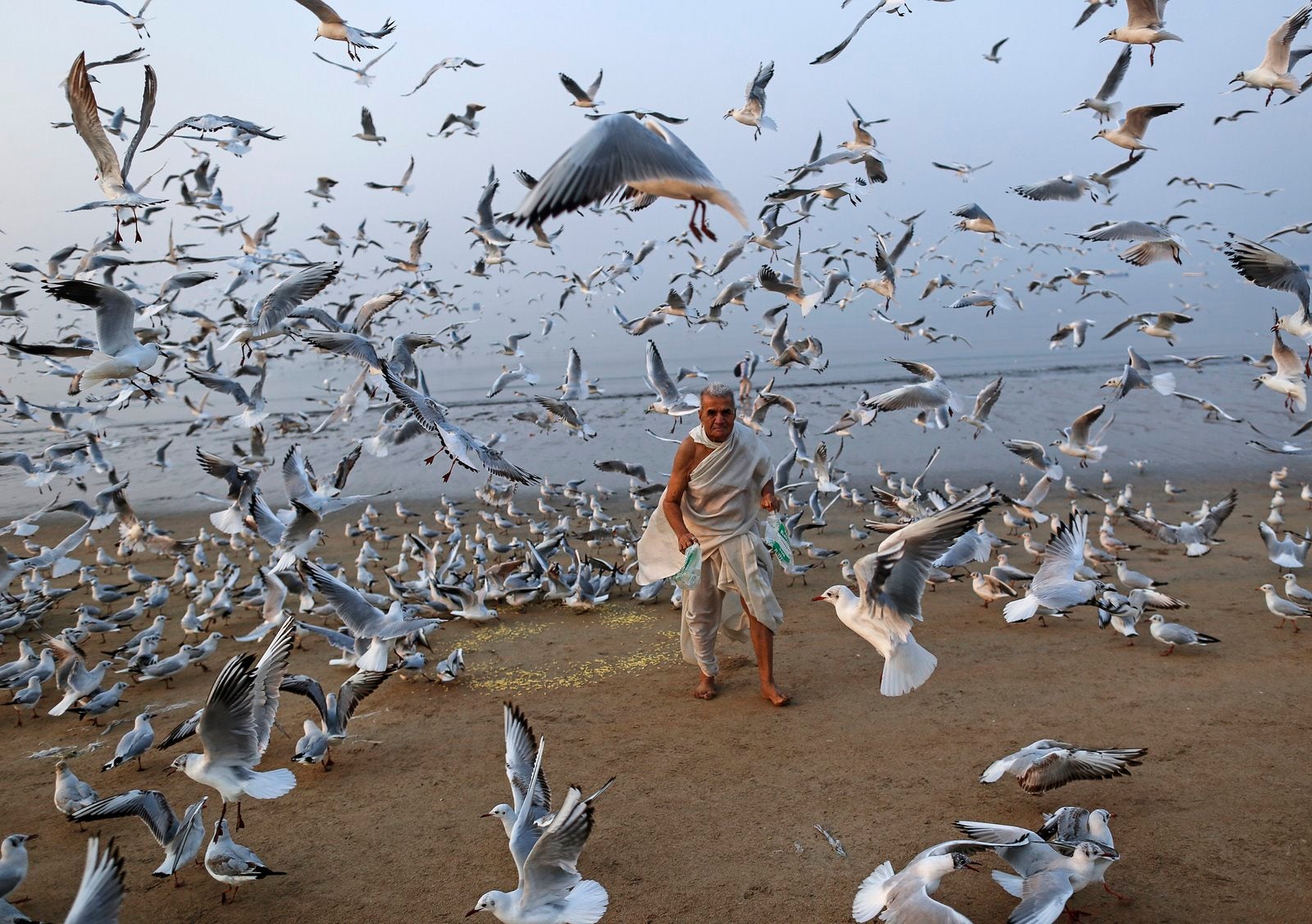 Un hombre alimenta las gaviotas en una playa a lo largo del Mar Arábigo en Mumbai, India.