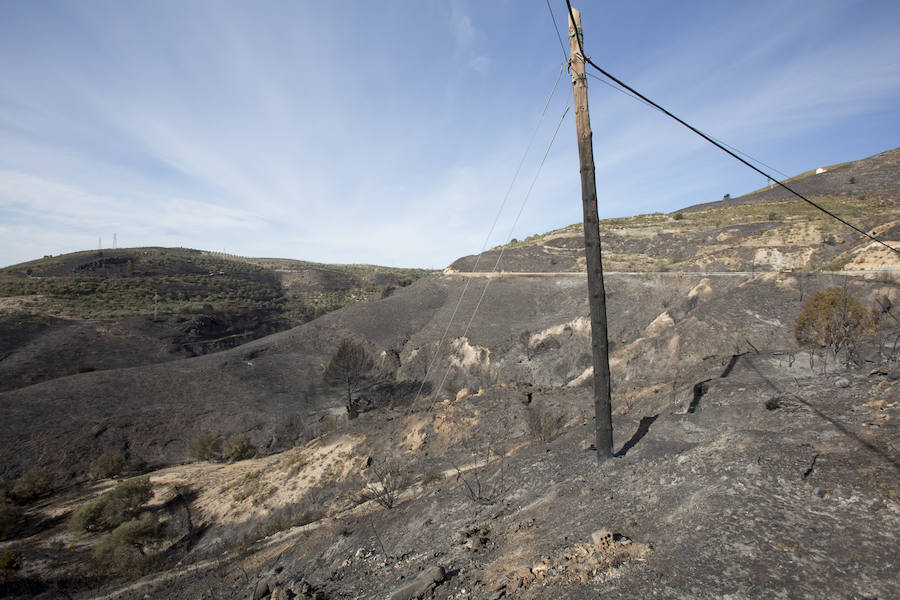 Desolación en la Alpujarra
