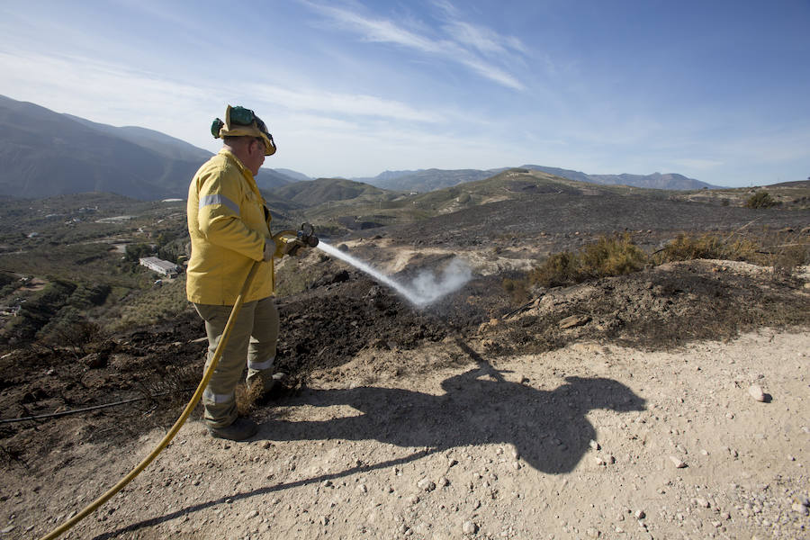 Desolación en la Alpujarra
