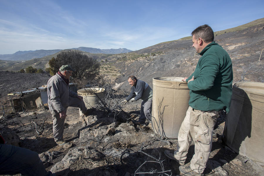 Desolación en la Alpujarra