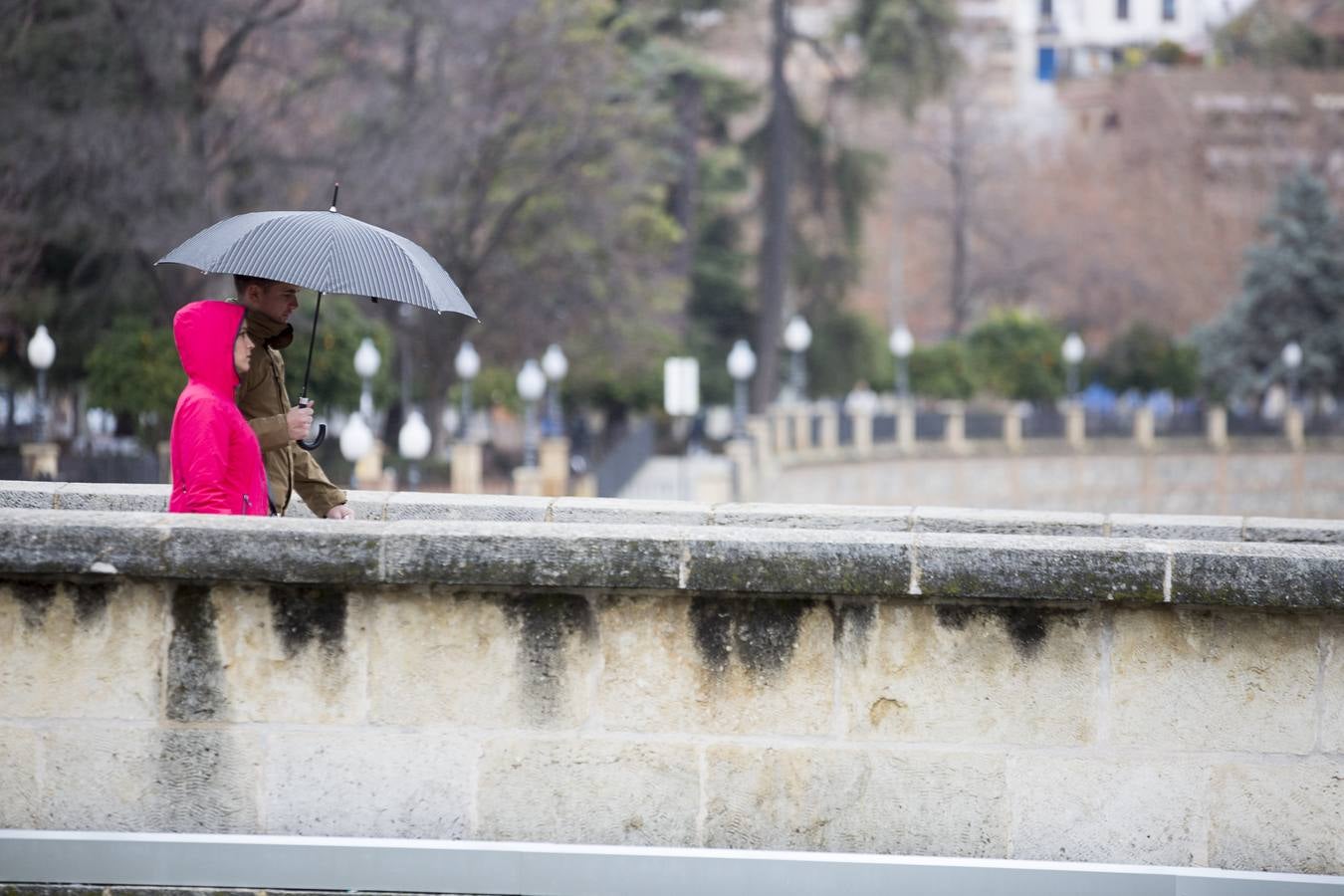 Viernes de lluvia fina en Granada