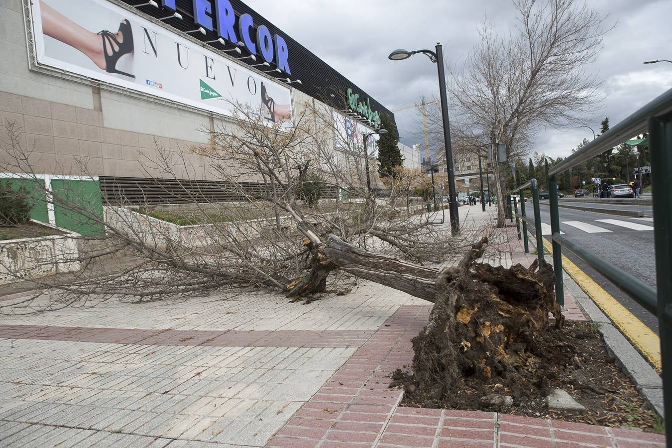 El invierno hace estragos en Granada