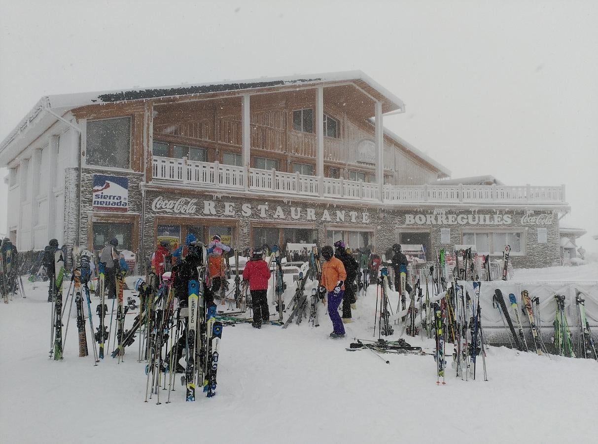 Borreguiles, por Alejandro Molina