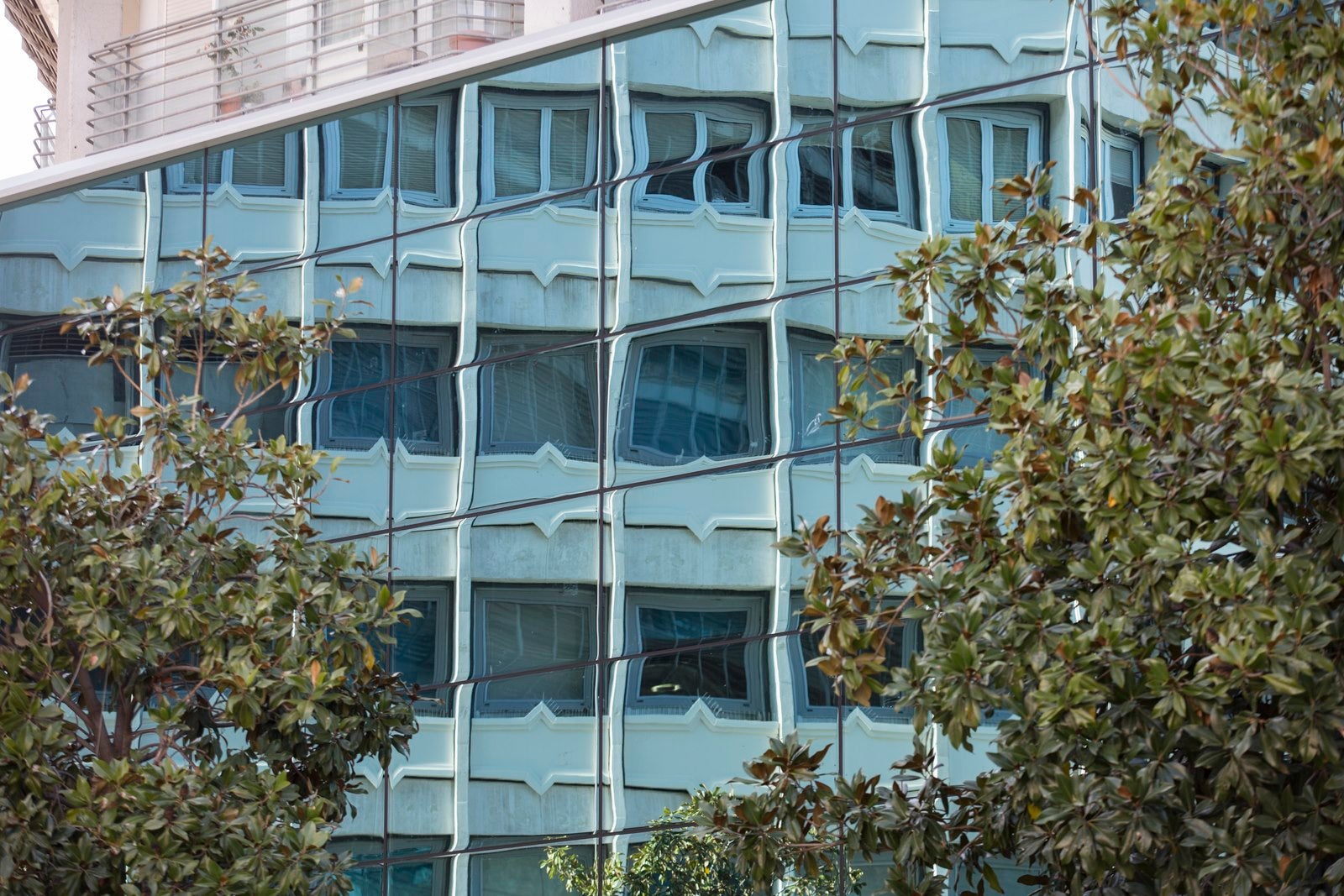 Isabel y Colón, ante el espejo