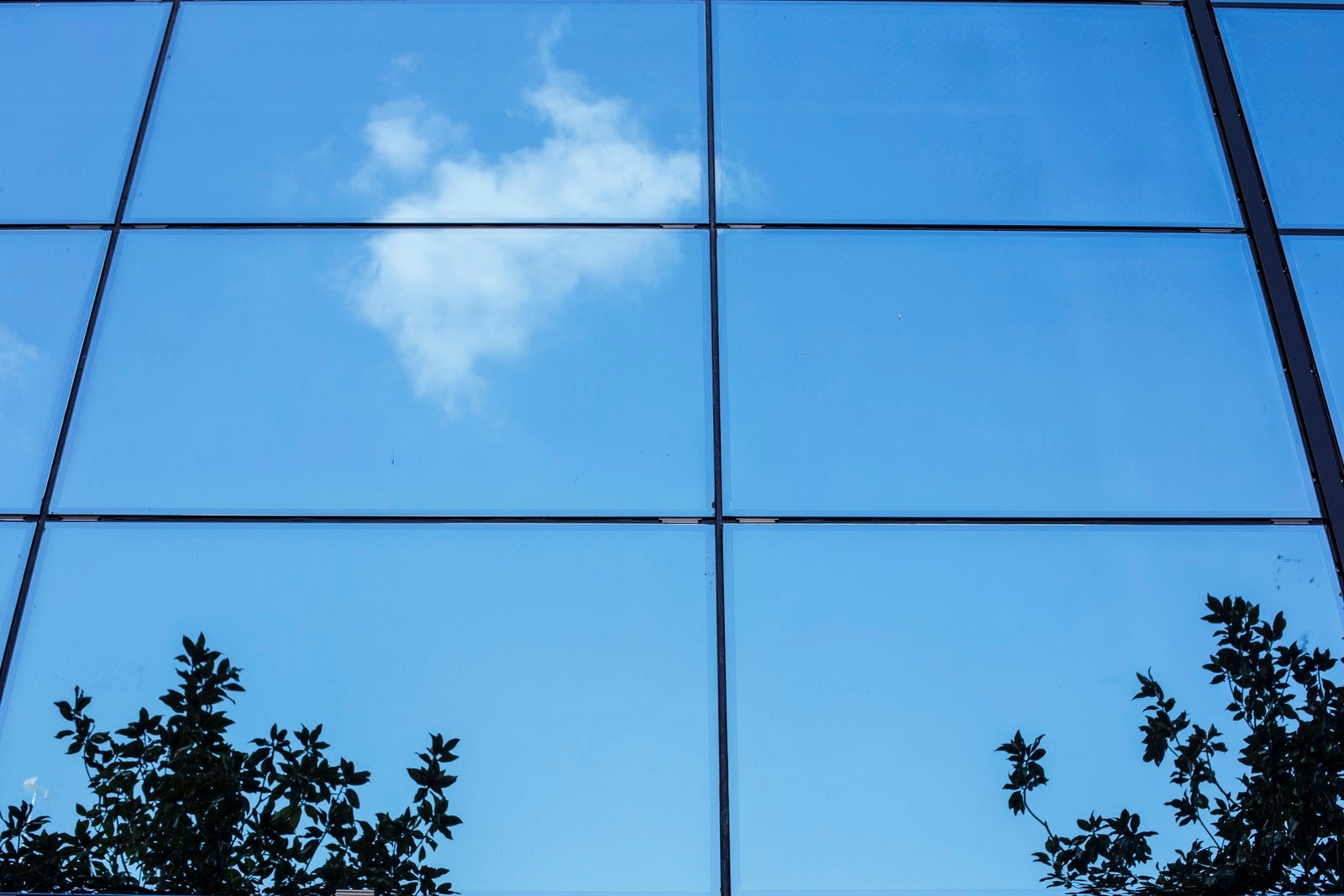 Isabel y Colón, ante el espejo