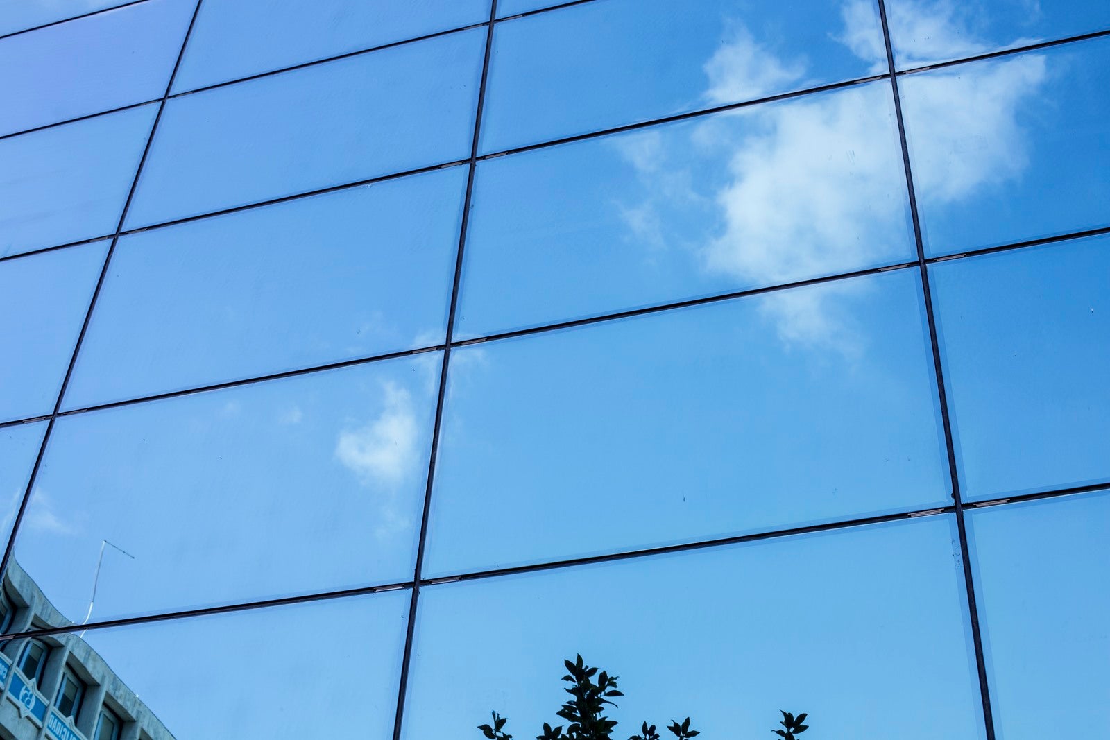 Isabel y Colón, ante el espejo