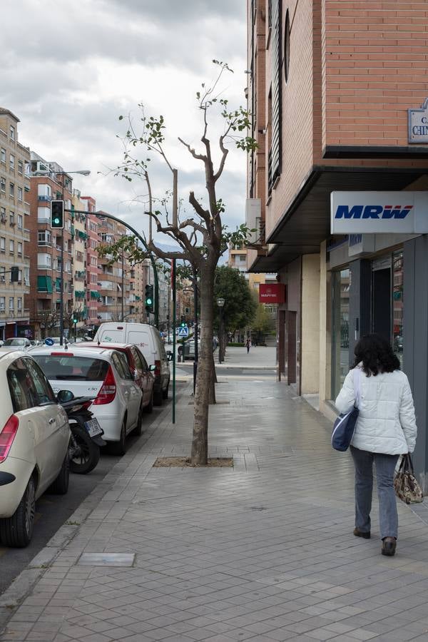 El Camino de Ronda quiere volver a ser verde