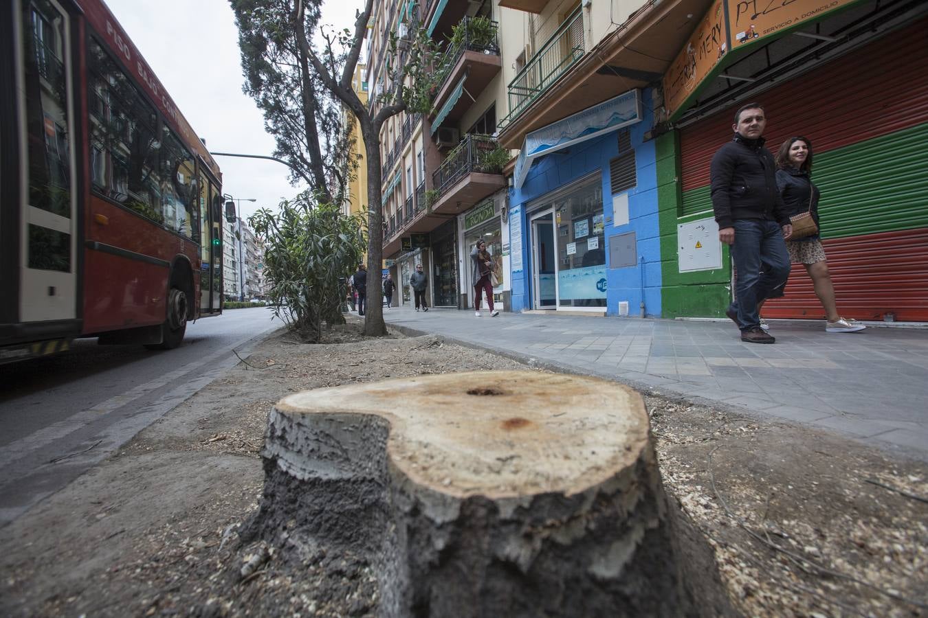 El Camino de Ronda quiere volver a ser verde
