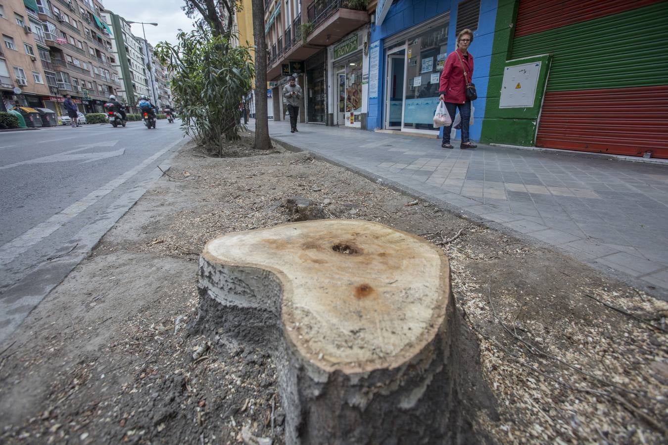 El Camino de Ronda quiere volver a ser verde