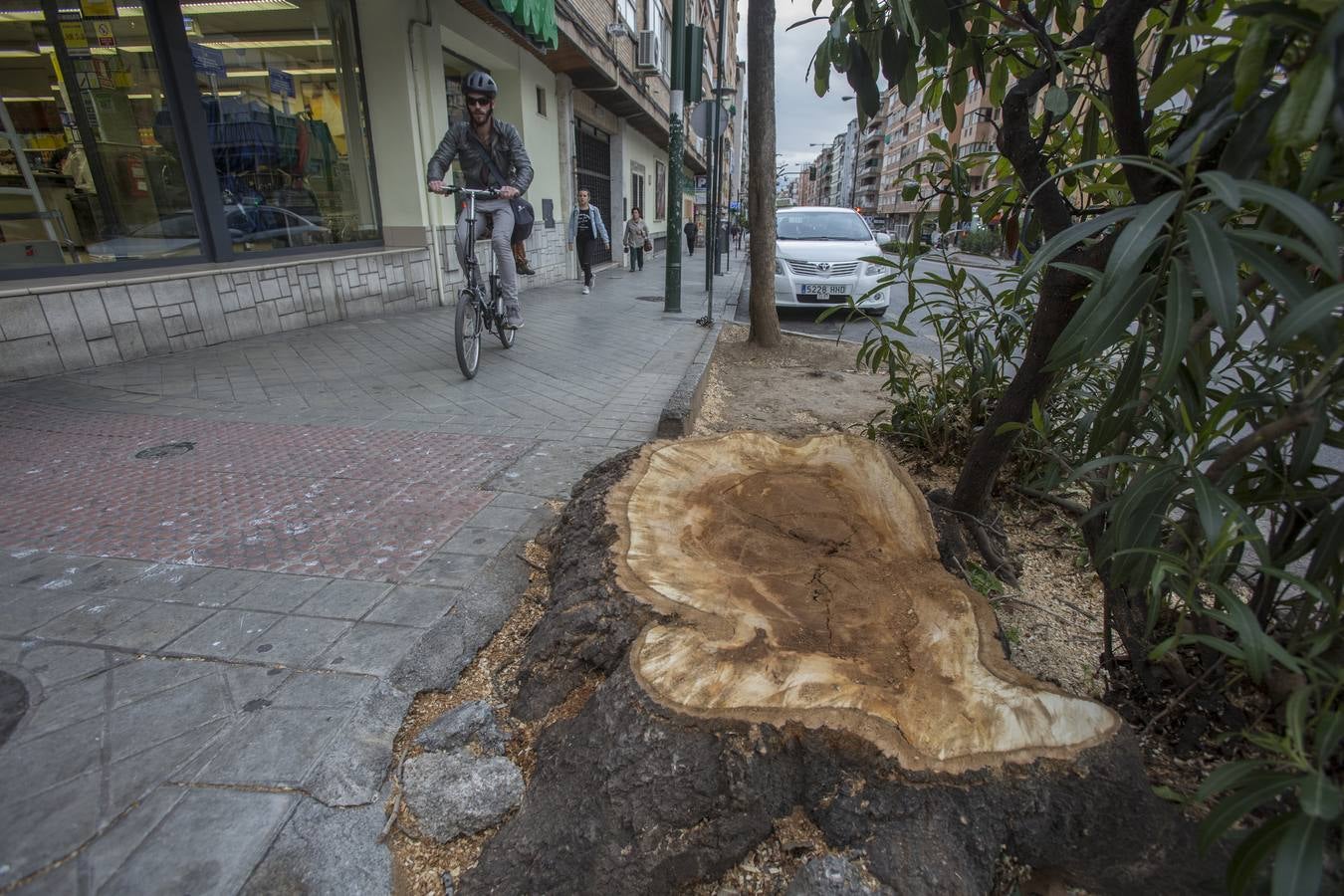 El Camino de Ronda quiere volver a ser verde