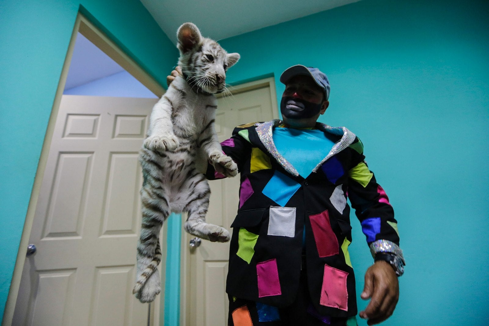 Pepe el payaso posa con un tigre de Bengala blanco de Circo de Renato durante una presentación en una estación de radio en Managua, Nicaragua.