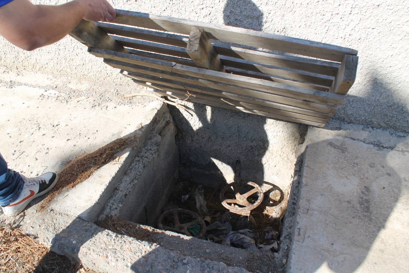 La paciencia de los hijos de la Juaida