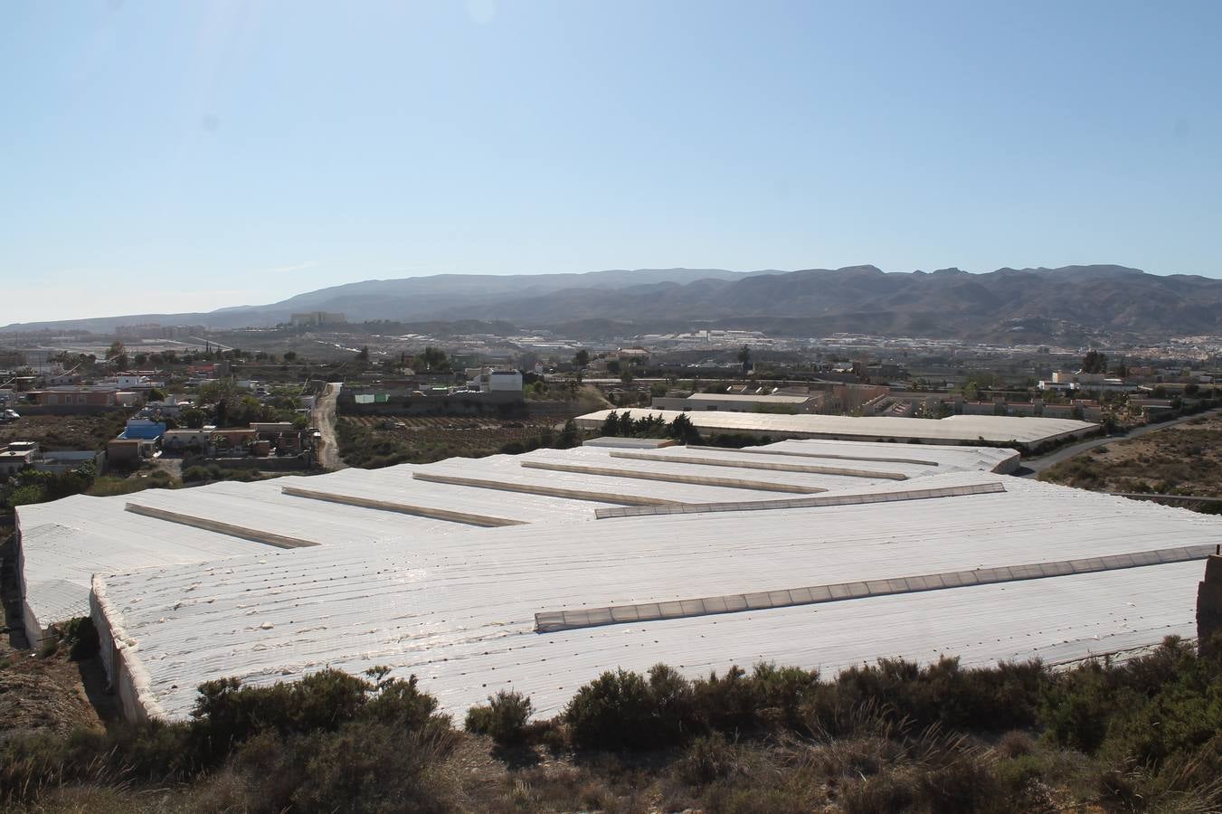 La paciencia de los hijos de la Juaida