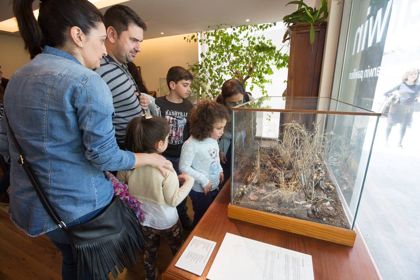 Ventiún años y siempre hacia arriba