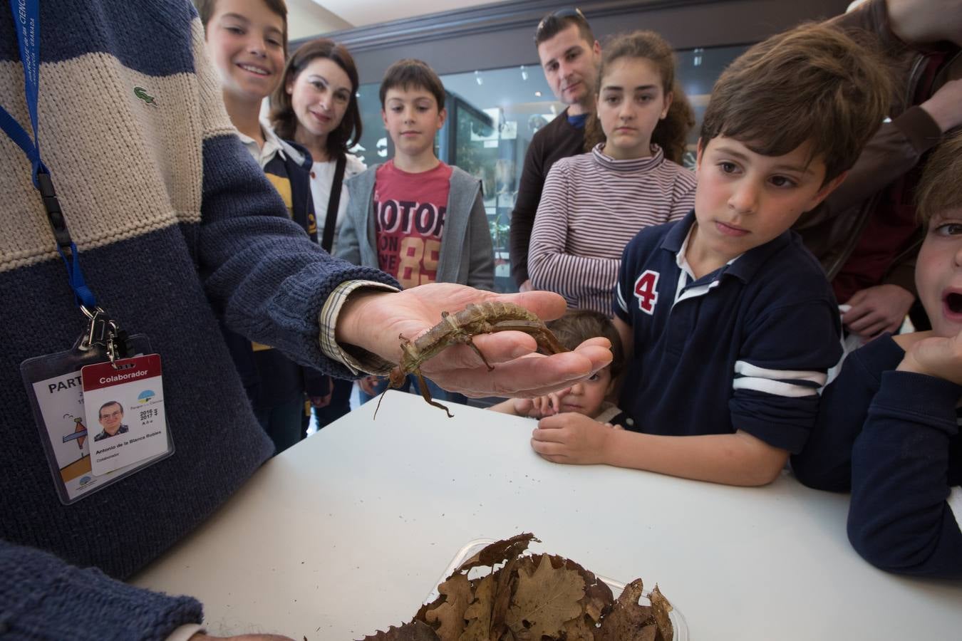 Ventiún años y siempre hacia arriba