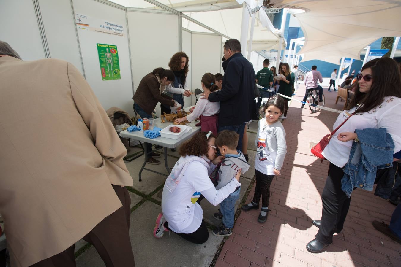 Ventiún años y siempre hacia arriba