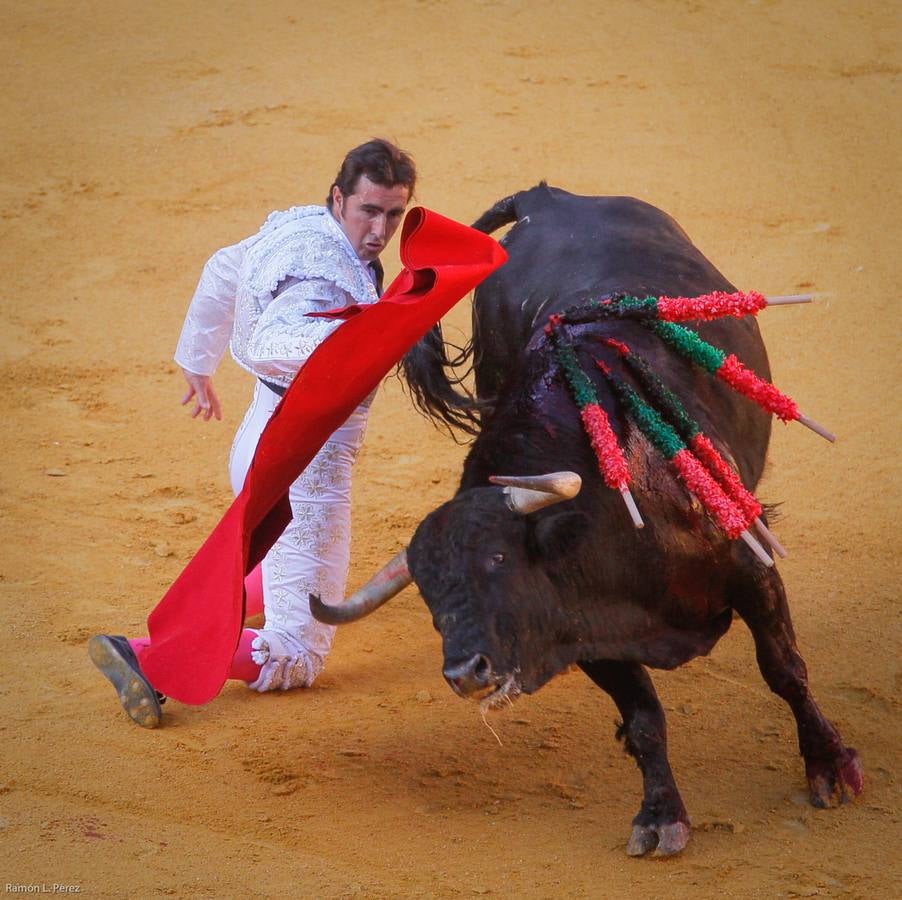 ...Y David volvió a ser el gran &#039;Fandi&#039;