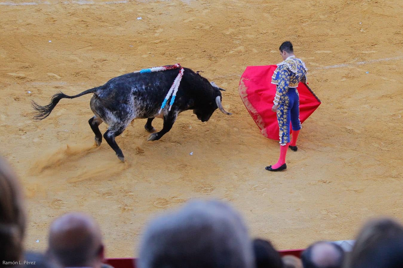 ...Y David volvió a ser el gran &#039;Fandi&#039;