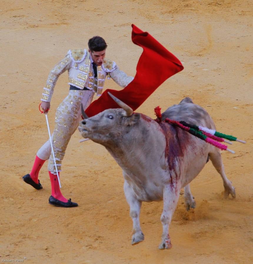 ...Y David volvió a ser el gran &#039;Fandi&#039;