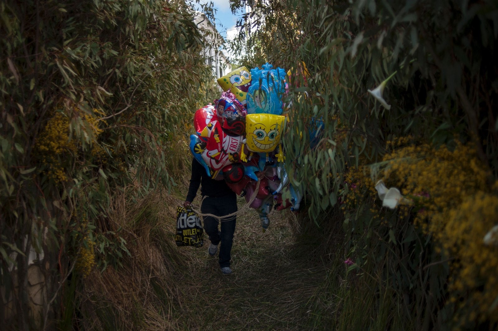 Un vendedor de globos camina por una calle cubierta de hierba durante las celebraciones del Corpus Christi en El Gastor.