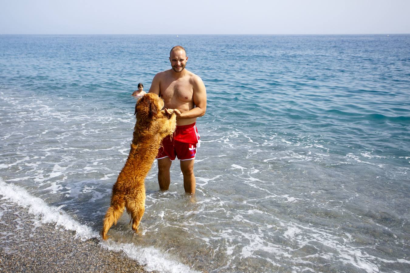 Los perros vuelven a la playa de El Cable de Motril