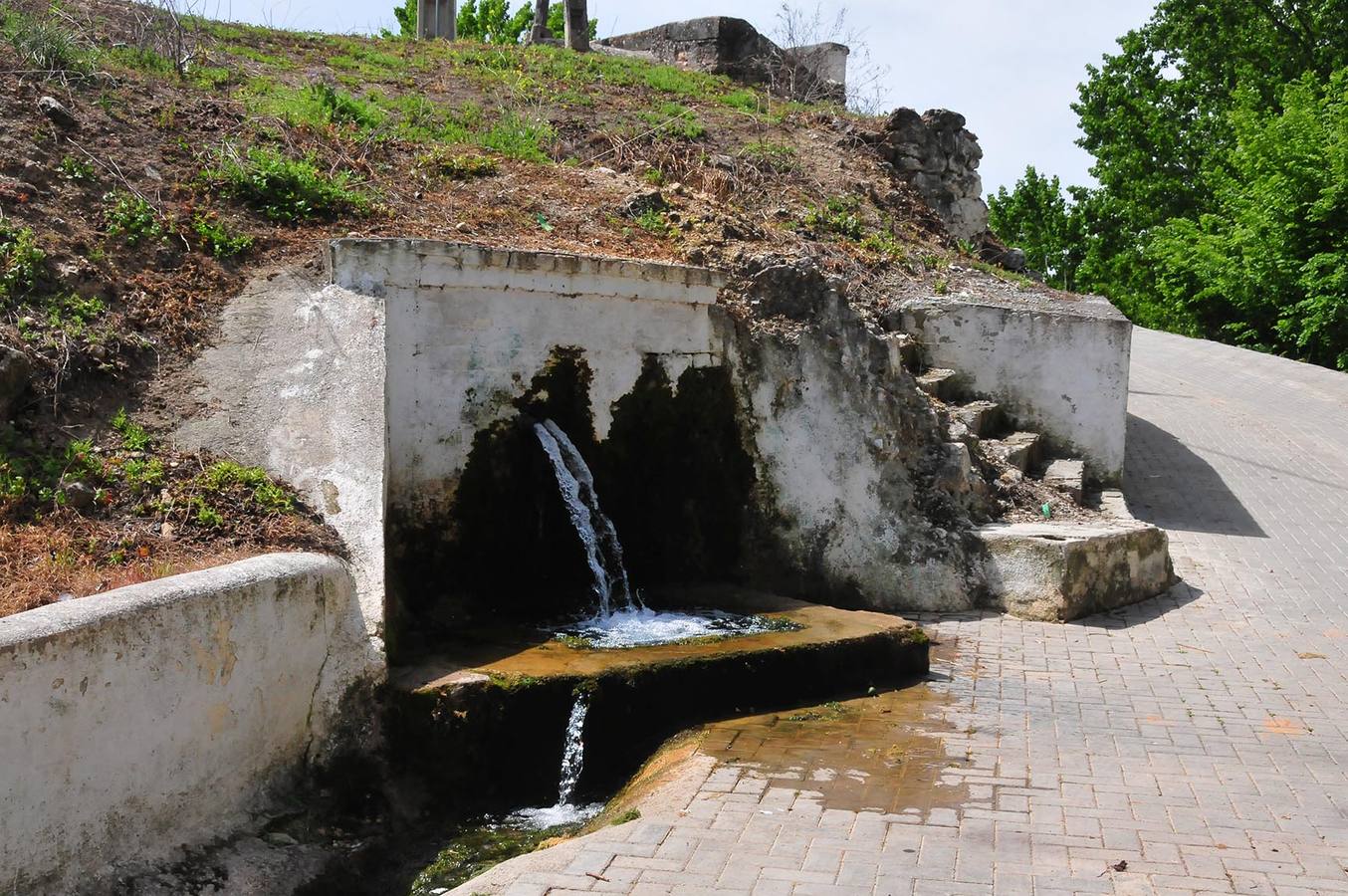 Los Dos Caños, junto al río y el Molino del Rey, en Alomartes.