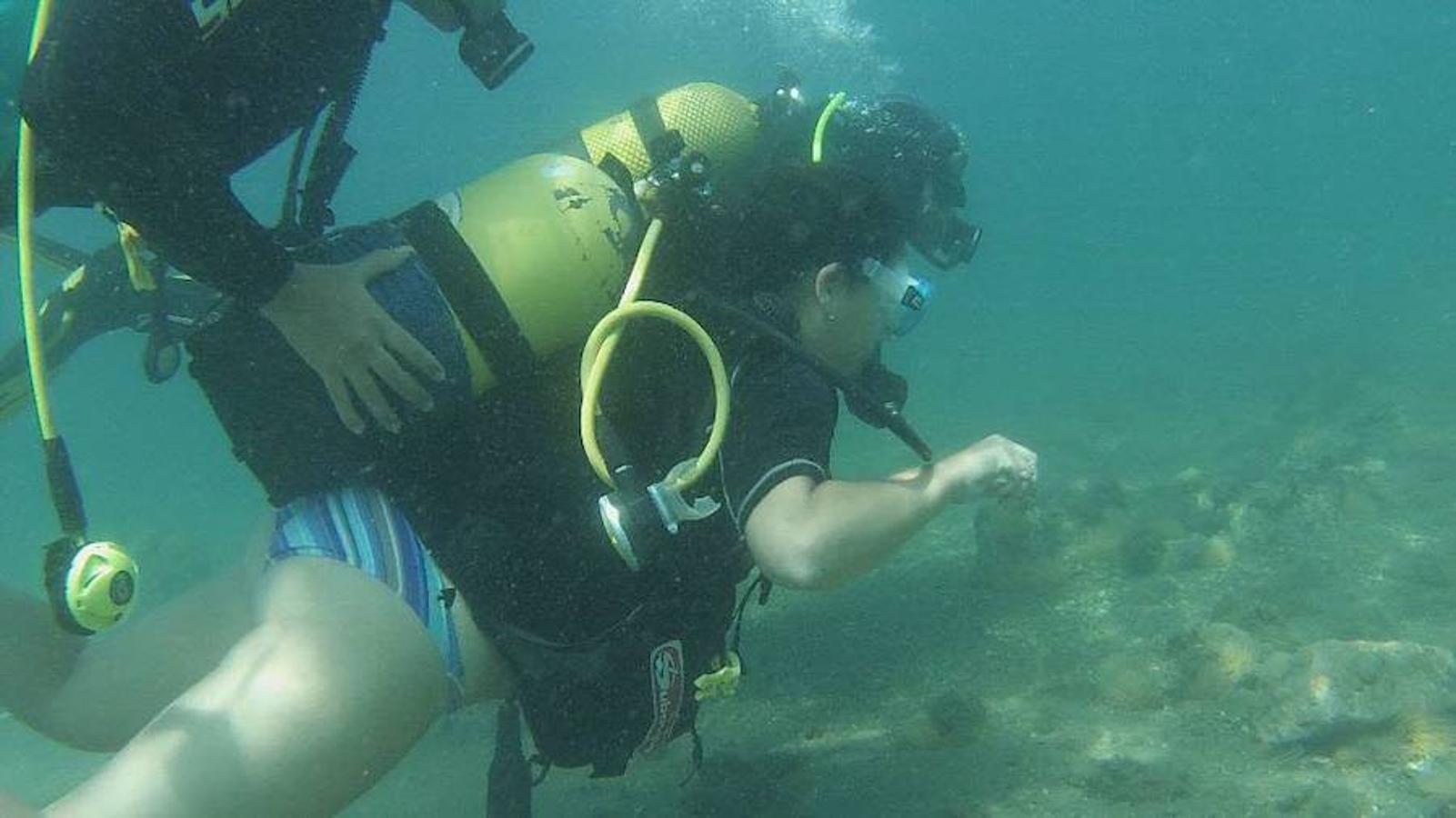 Gran oferta de actividades. No sólo se puede tomar el sol, las playas de Granada ofrecen múltiples actividades como puede ser el buceo. Hay muchas escuelas que ofrecen la posibilidad de disfrutar de la biodiversidad del fondo marino acompañados por monitores.