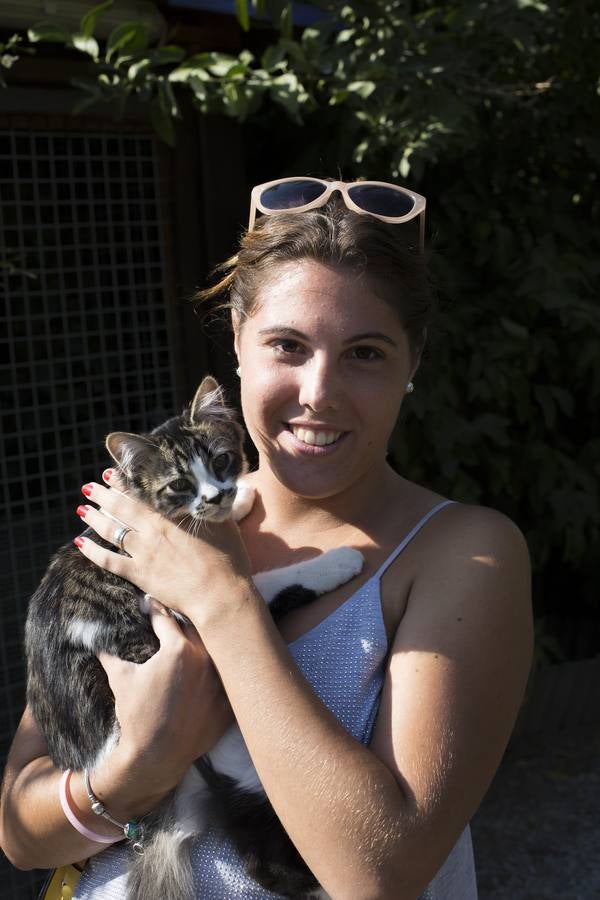 De vacaciones perrunas